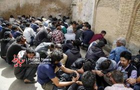 دستگيري و جمع آوري 118 خرده فروش و معتاد متجاهر در برخوار